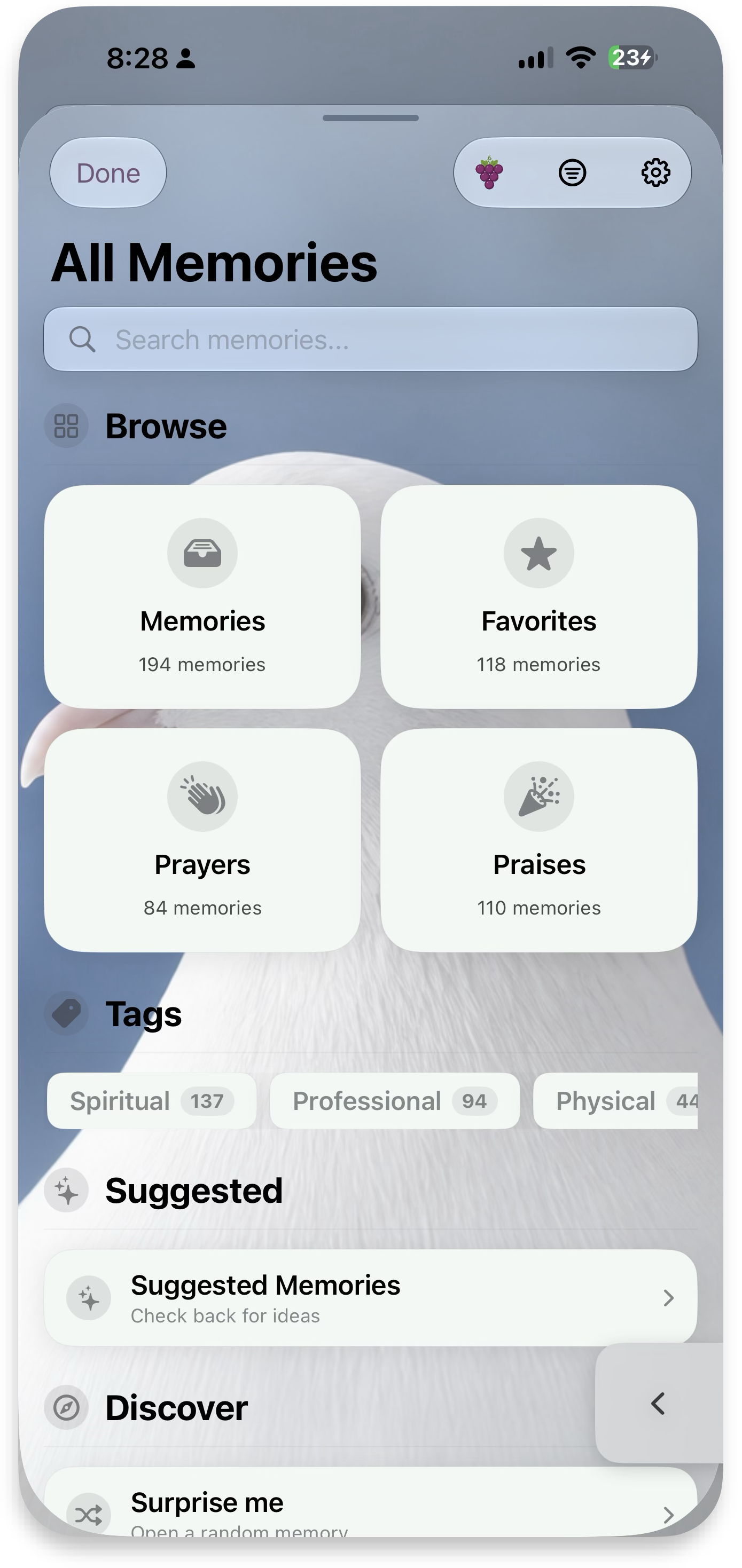 Icon style — mono