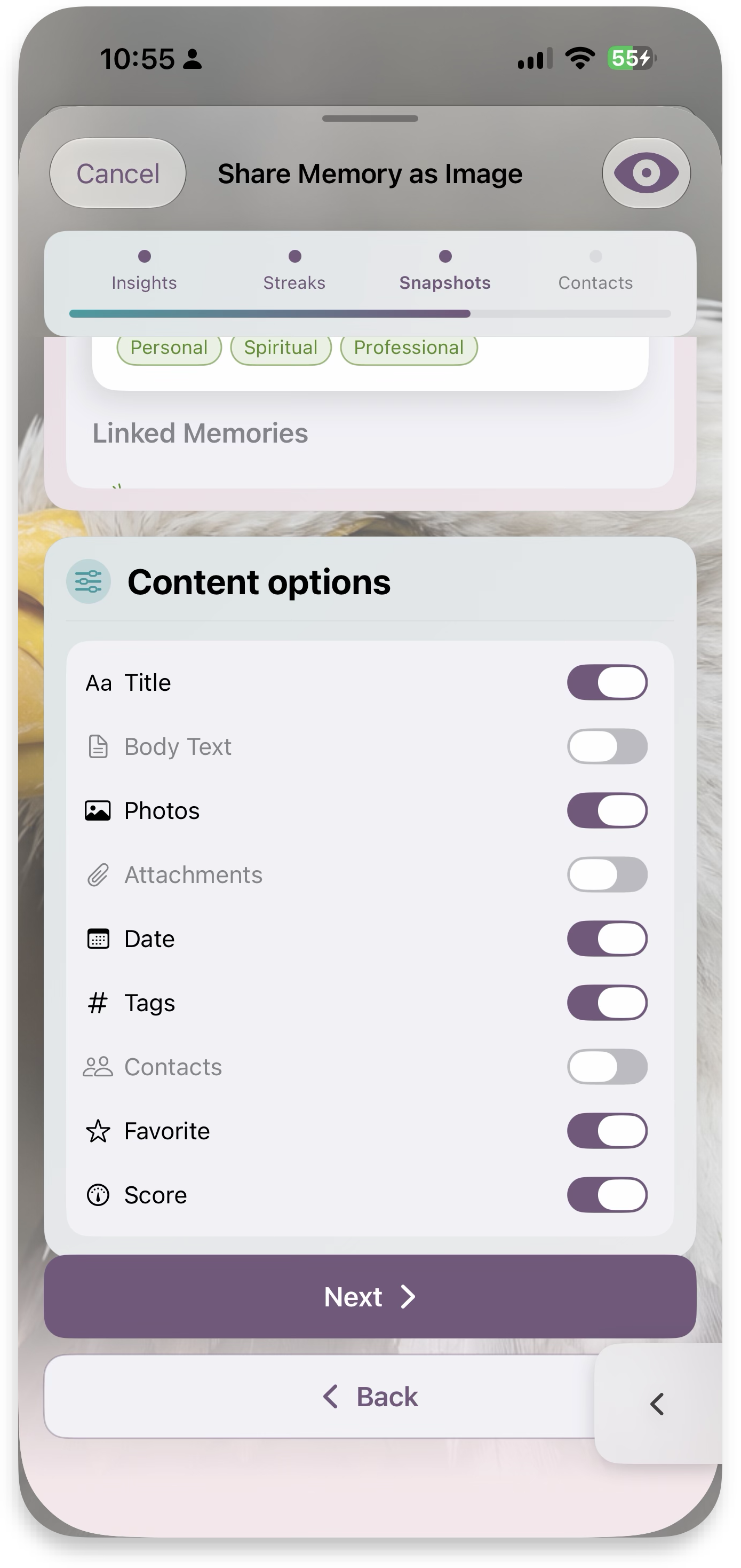 Content options for shared memory