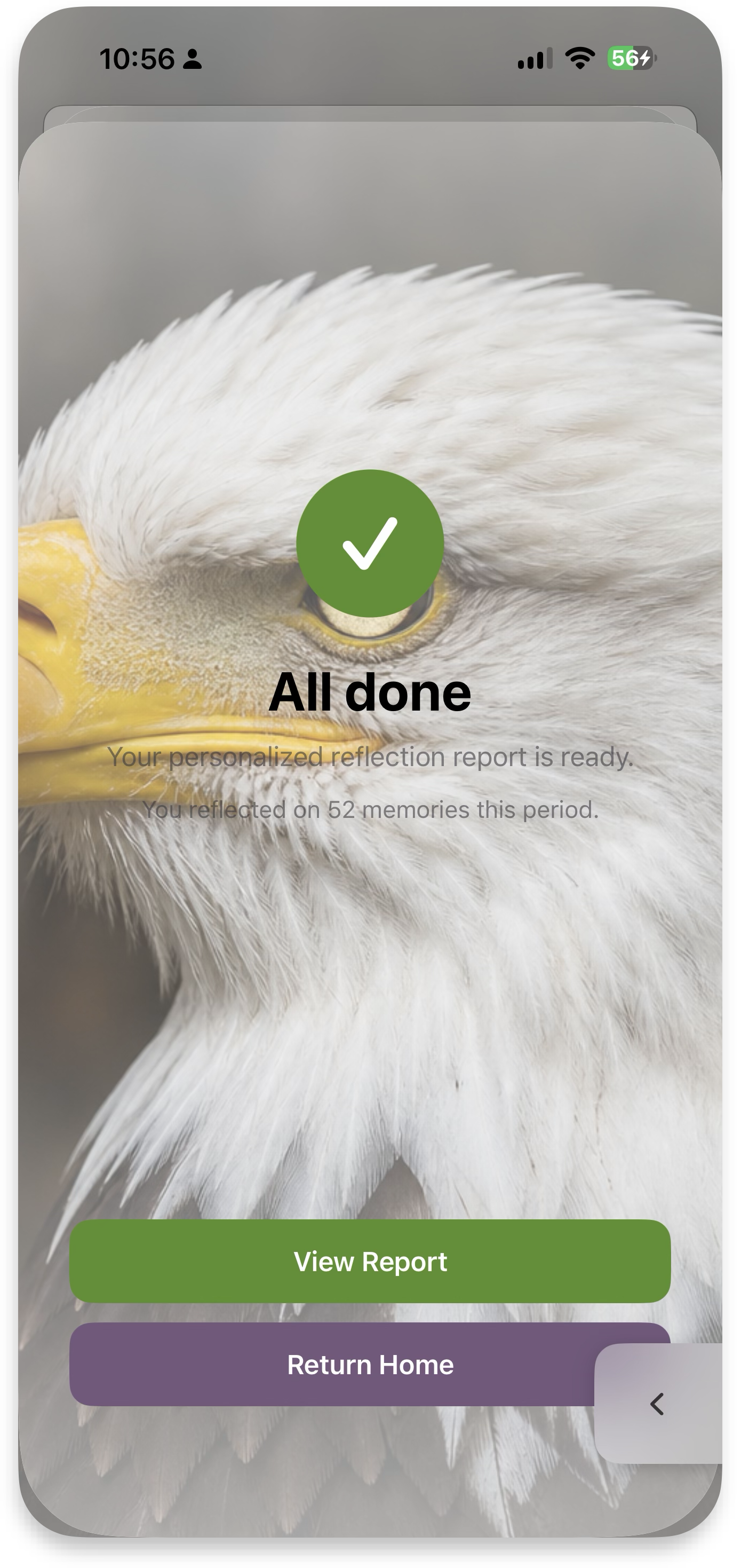 All done — report ready