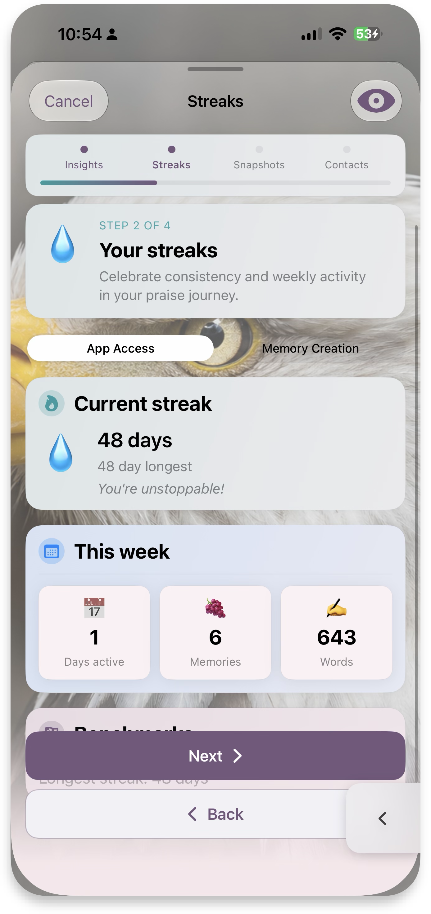 Step 2 — Your streaks