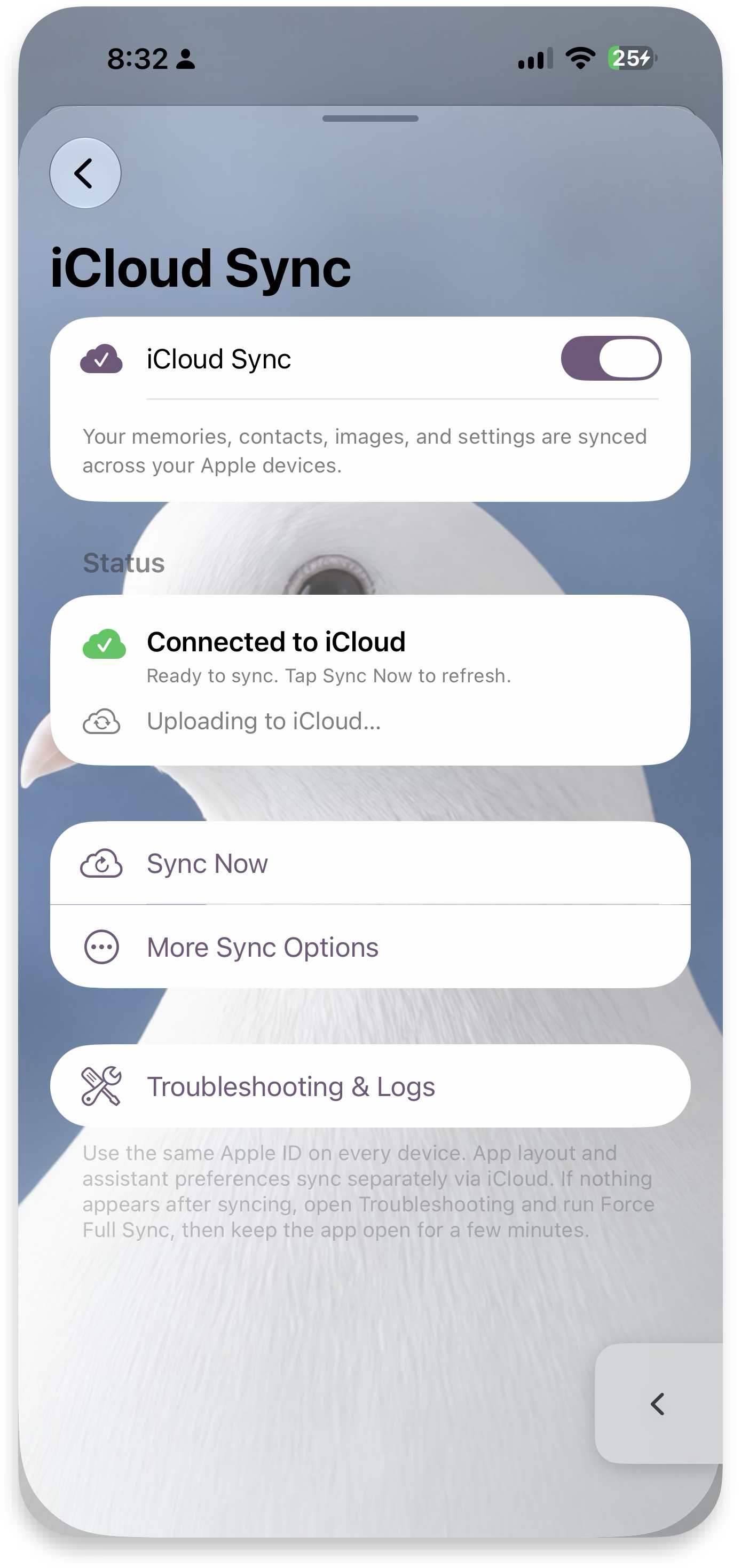 iCloud Sync — status, sync now, troubleshooting