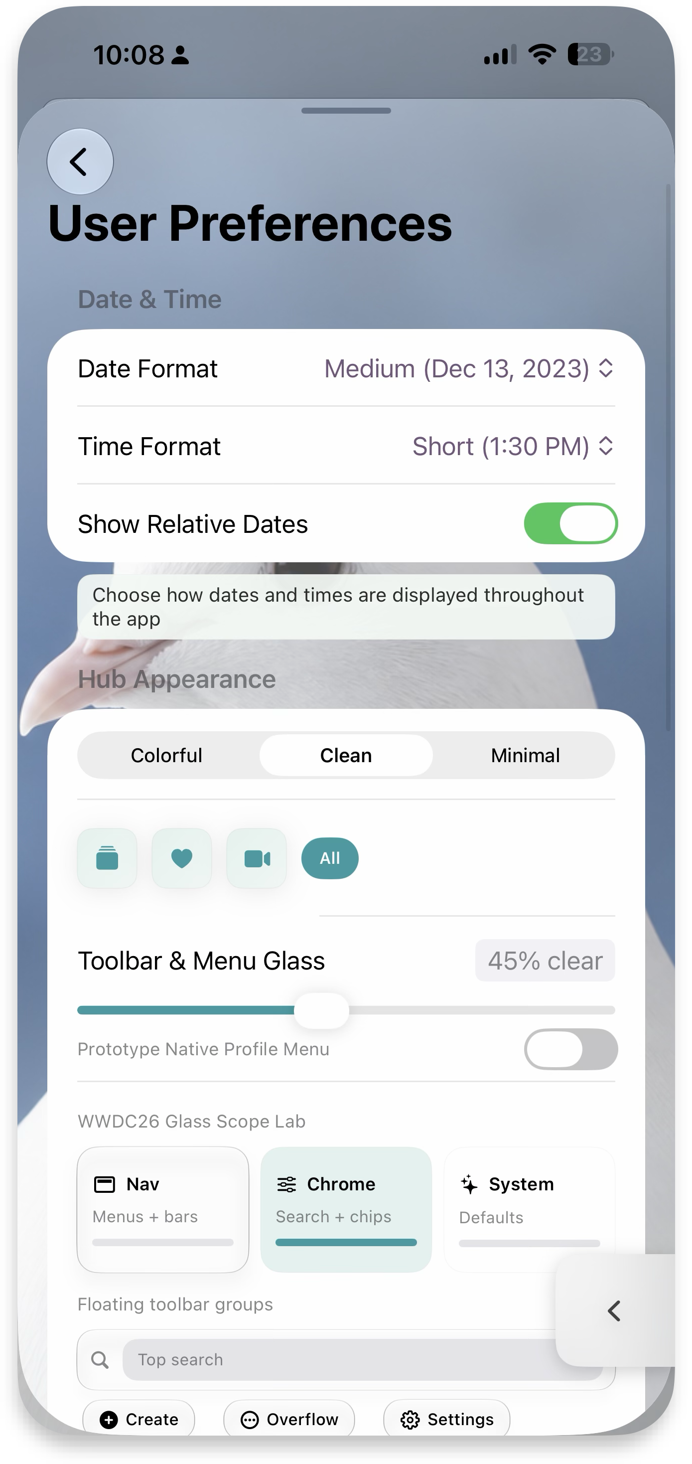 User Preferences — date and time, hub appearance